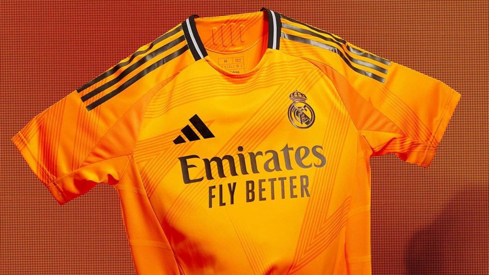 这一规则长 这一规则长