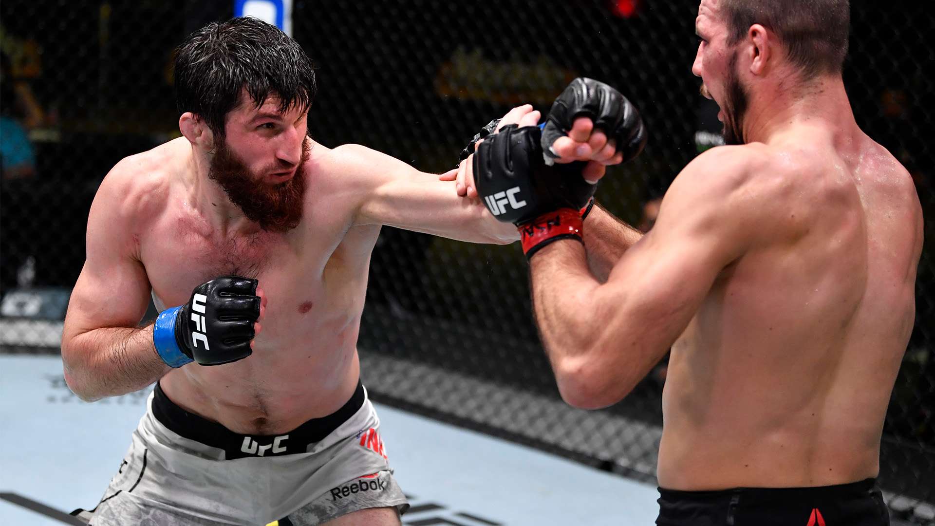 的热潮不仅 的热潮不仅