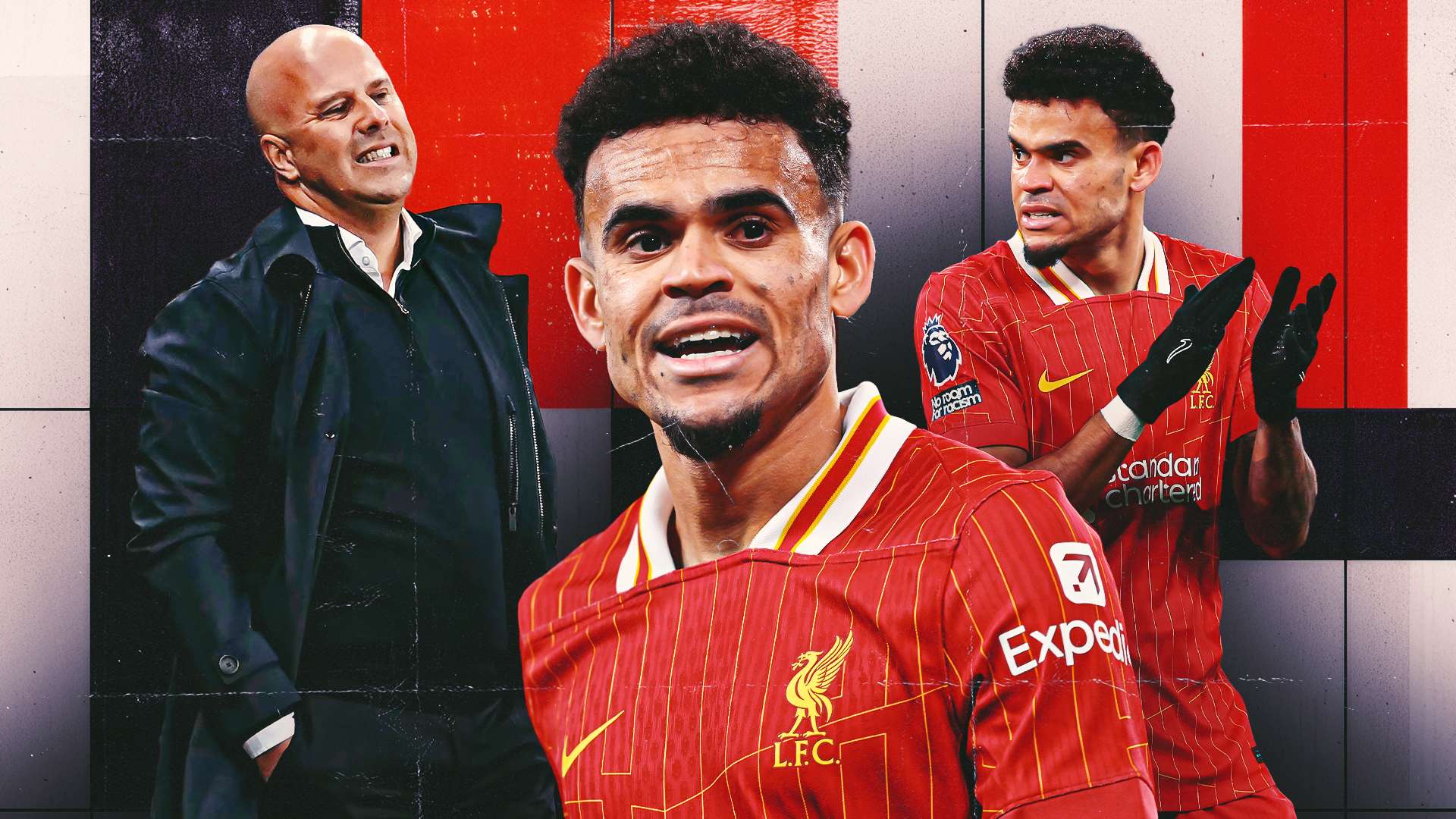 证明了他不 证明了他不