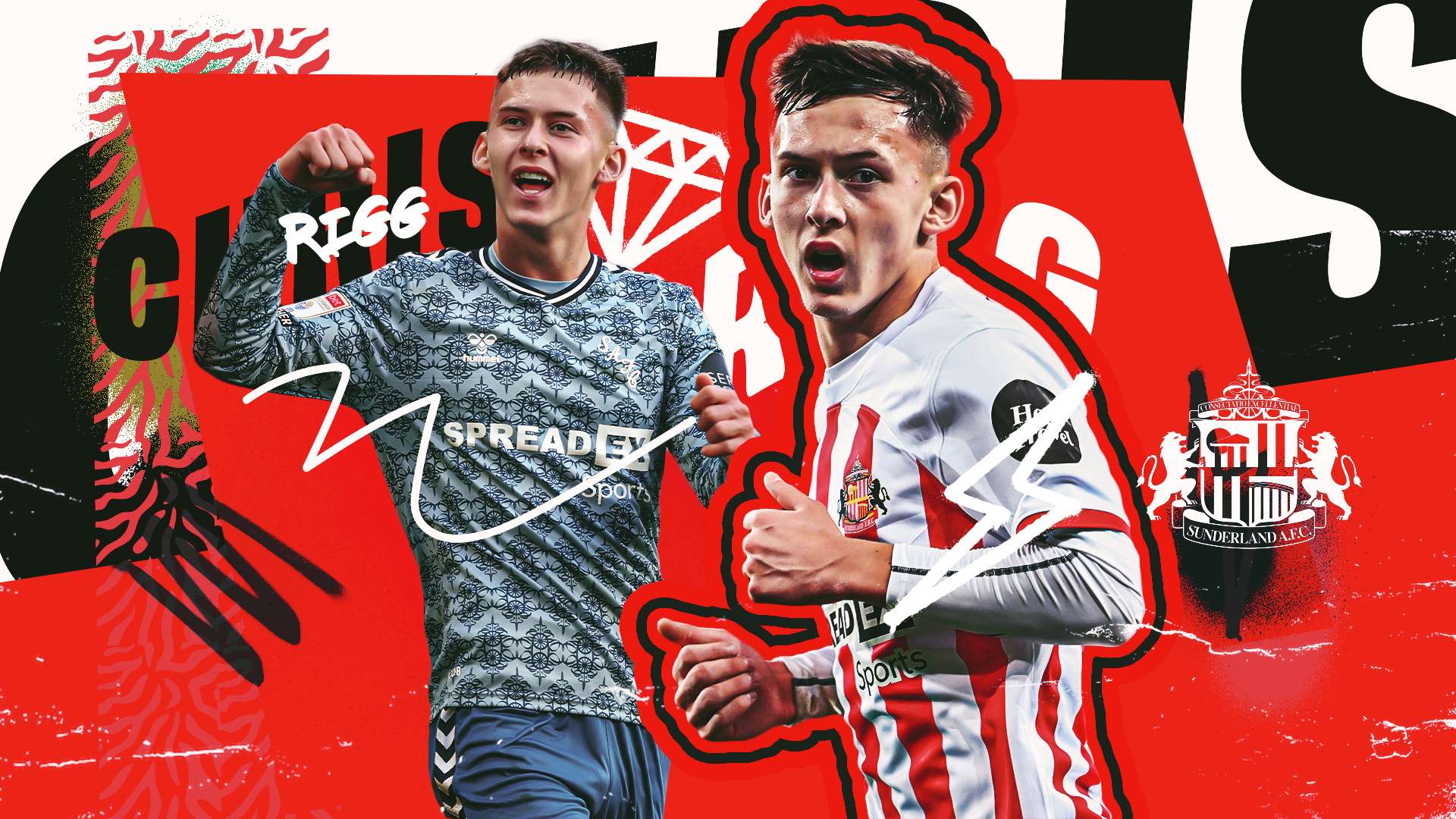 有极高要求 有极高要求